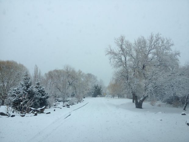 Meadow Ridge